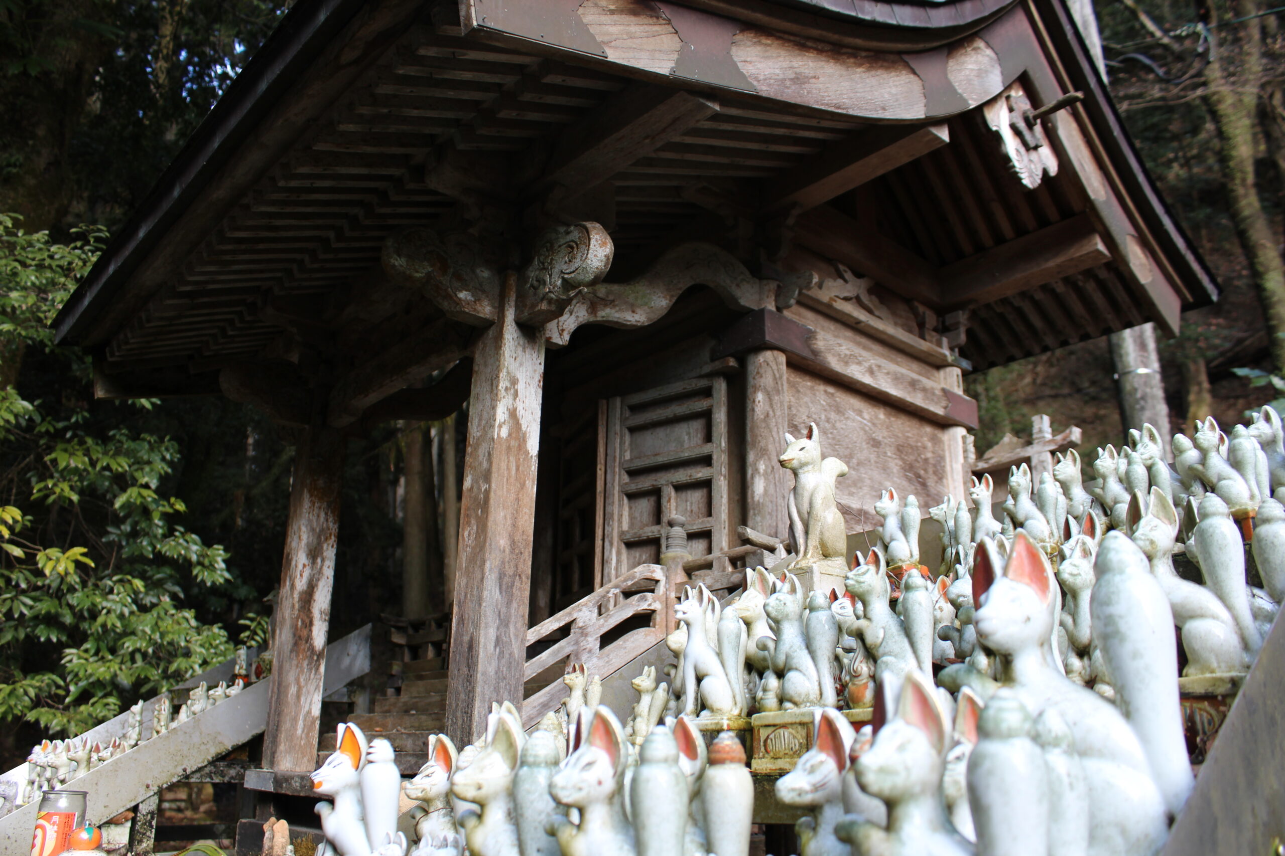 出流山満願寺のお稲荷様の写真